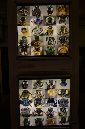 Wasp_exhibition__DSC3469